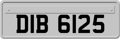 DIB6125