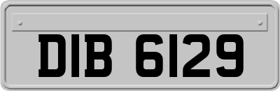 DIB6129