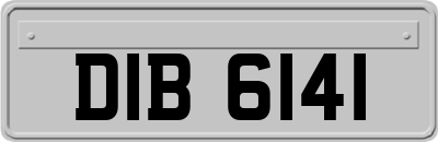 DIB6141