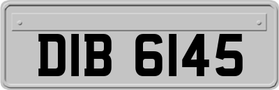 DIB6145