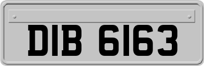 DIB6163