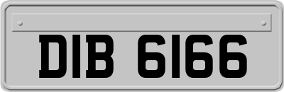 DIB6166