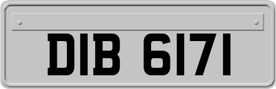 DIB6171