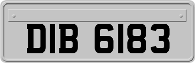 DIB6183