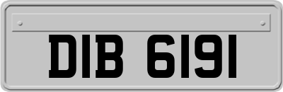 DIB6191