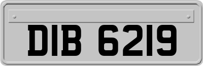 DIB6219