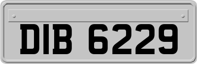 DIB6229
