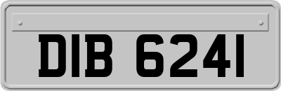 DIB6241