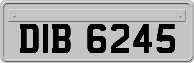 DIB6245