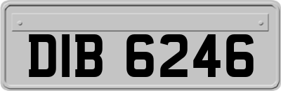 DIB6246