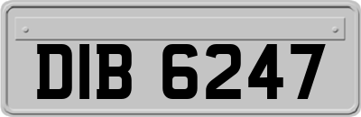 DIB6247