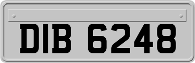 DIB6248