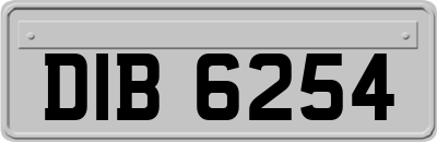 DIB6254