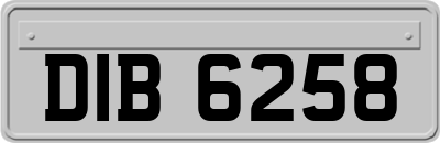 DIB6258