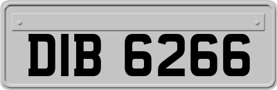 DIB6266