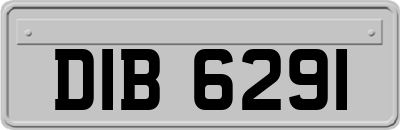 DIB6291