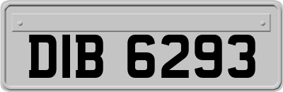 DIB6293
