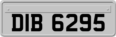 DIB6295