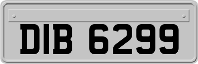 DIB6299
