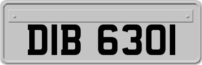 DIB6301