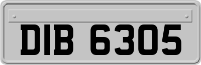 DIB6305