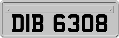 DIB6308