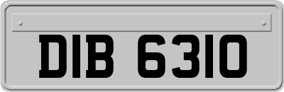 DIB6310