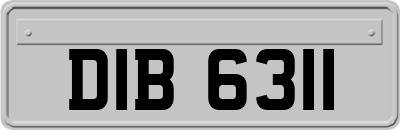 DIB6311