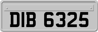 DIB6325