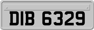 DIB6329