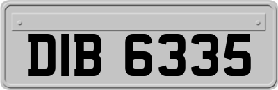 DIB6335