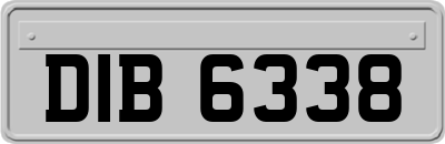 DIB6338