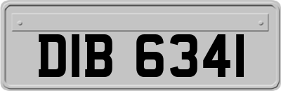 DIB6341