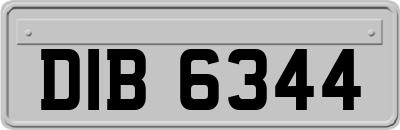 DIB6344