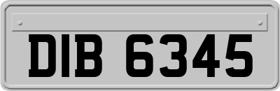 DIB6345