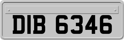 DIB6346