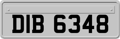 DIB6348