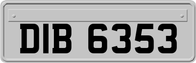 DIB6353