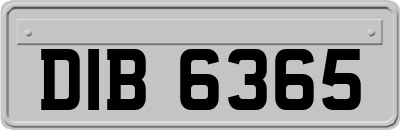 DIB6365