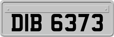 DIB6373