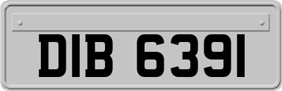 DIB6391