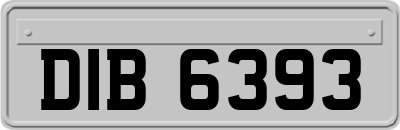 DIB6393