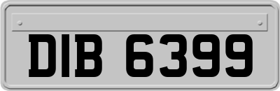 DIB6399