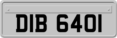 DIB6401