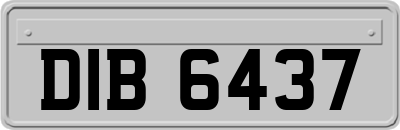 DIB6437