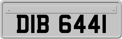 DIB6441