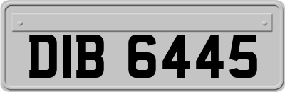 DIB6445