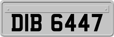 DIB6447