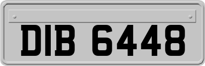 DIB6448