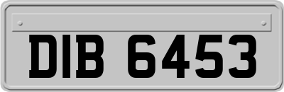 DIB6453